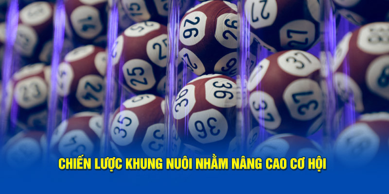 Chiến lược khung nuôi nhằm nâng cao cơ hội 